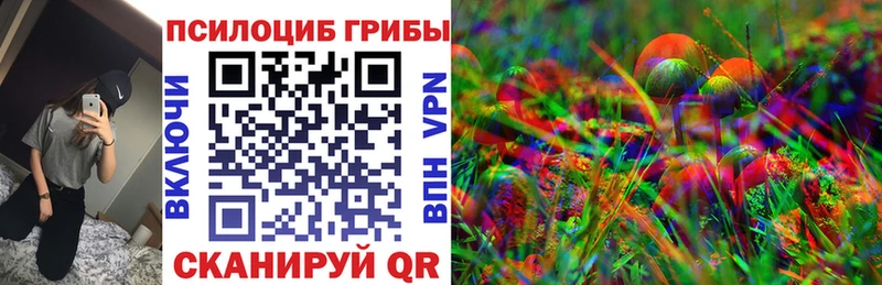 как найти наркотики  Кувандык  Псилоцибиновые грибы Magic Shrooms 